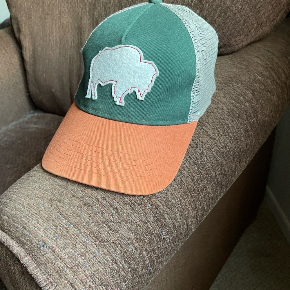 Snap back baseball style hat with bison decal